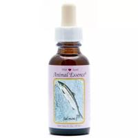 Animal Essences Salmon (zalm) 30 Milliliter