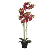 Mica Decorations Orchidee bloem kunstplant - rood - H90 x B30 cm - Kunstplanten - thumbnail