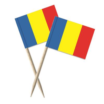 Roemenie cocktailprikkers - 8 cm - 100x stuks - mini vlaggetjes - landen decoraties