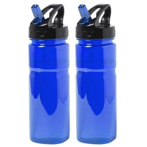 Kunststof waterfles/drinkfles/sportfles - 2x - blauw - met drinktuit - 650 ml