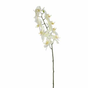 Kunstbloem Orchidee tak - wit - 71 cm - losse steel - Kunst zijdebloemen