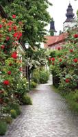 Alley Roses 70x130cm Tuinschilderij - Customize it