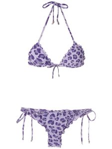 Amir Slama bikini à motif léopard - Violet