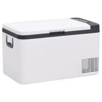 VidaXL Koelbox met handvat 18 l pp & pe zwart en wit