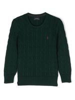 Ralph Lauren Kids pull en maille torsadée à logo Polo Pony - Vert - thumbnail