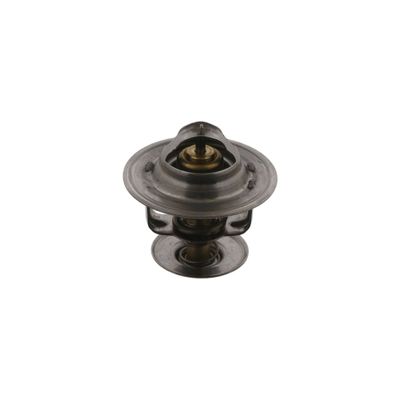 Thermostaat 17932