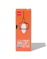 HEMA Led Kaars Glass Frost E14 2.5W 250lm HEMA Led Kaars Glass Frost E14 2.5W 250lm