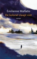 De kolonel slaapt niet - Emilienne Malfatto - ebook