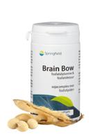 Springfield Brain bow
