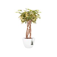 elho pure soft round 50 Binnen/buiten Plantenpot Vrijstaand Lineaire lagedichtheidpolyetheen (LLDPE) Wit - thumbnail