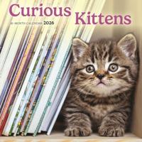 Nieuwsgierige Kittens Mini Kalender 2026