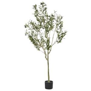 Beliani - OLIVE TREE - Kunstplant - Groen - 153 cm - Synthetisch