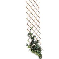 Bamboe klimrek 70x180cm Nature - Nature