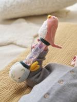 Regenstok SAVANIA rozen