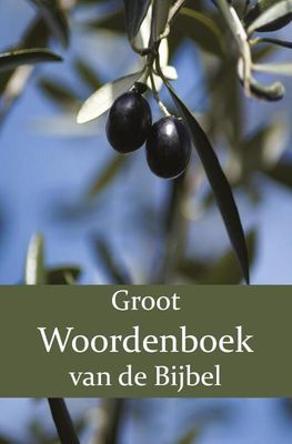 Groot Woordenboek van de Bijbel A-H - F.J. Domela Nieuwenhuis, P.J. Veth, W. Moll - Paperback (9789057195563) Groot Woordenboek van de Bijbel A-H - F.J. Domela Nieuwenhuis, P.J. Veth, W. Moll - Paperback (9789057195563)