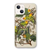 Carolinaparkiet: iPhone 13 Transparant Hoesje