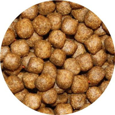 Pond Pro Super Grower - Eiwitrijk Koi Voer 6mm Korrels, Optimaal voor Groei, 5kg