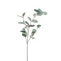 Kunstbloem Eucalyptus tak - 73 cm - groen - losse steel - Kunst zijdebloemen - thumbnail