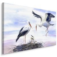 Schilderij - Ooievaar met nest, Aquarel kleuren, 4 maten, scherp geprijsd