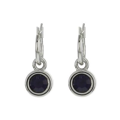 Biba Hang Oorbellen met Swarovski Steentje Purple Velvet