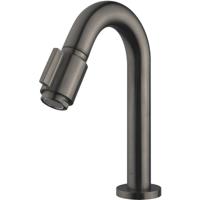 Wiesbaden Victoria Fonteinkraan - Toiletkraan - Koudwaterkraan - 1/2 - Gunmetal