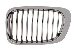 Radiateurgrille 6502070061993LP