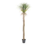 By-Boo Kunstplant 'Wild Yucca Tree' 244cm hoog
