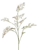 Limoniumtak Zeelavendel 3x vertakt met 57 bloemtoeven 100 cm - Top art