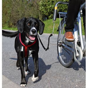 TRIXIE 1287 hond & kat riem Zwart, Zilver Handsfree riem