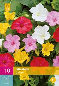 Mirabilis Jalapa Mix