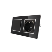 Nero Deluxe Glas schakelaar en stopcontact met 2x USB combinatie compleet