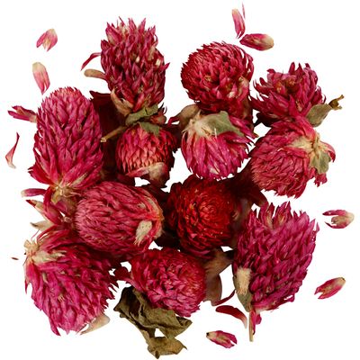 Creativ Company Gedroogde bloemen rode klaver paars, 15gr