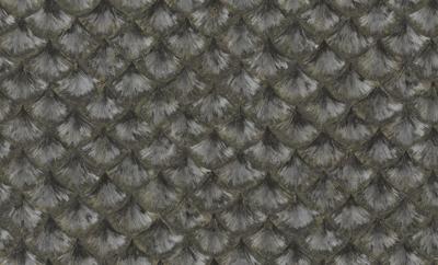 Dutch Wallcoverings Yudashkin 5 10X1,06M - Zwart/Goud
