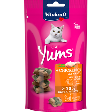 Vitakraft Cat Yums Kip en Kattengras 40 g bij Jumbo