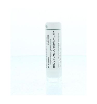 Rhus toxicodendron 200K