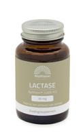 Mattisson lactase optiferm 3000 fcc