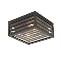 QAZQA Moderne buiten plafondlamp zwart glas 2-lichts IP44 - Reims