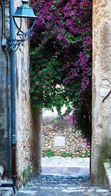 Bougainville steeg 70x130cm Tuinschilderij - Customize it