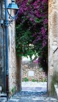 Bougainville steeg 70x130cm Tuinschilderij - Customize it