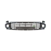 Bodermann Grille 7204360