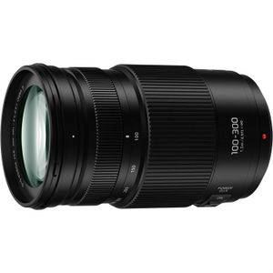 Panasonic Lumix G Vario 100-300mm F/4.0-5.6 mark II