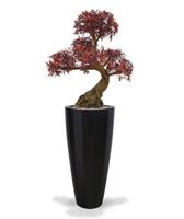 Ming Aralia Bonsai UV Burgundy kunstboom op voet 90cm - thumbnail