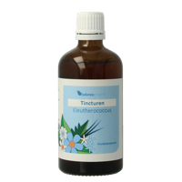 Balancepharma Eleutherococcus tincturen 100 Milliliter