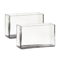 Set van 2x stuks transparante rechthoek accubak vaas/vazen van glas 25 x 10 x 15 cm