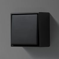 JUNG LS990 Opbouwrand enkel grafiet mat zwart grafiet strak design jaren 60 (excl. schakelaar)