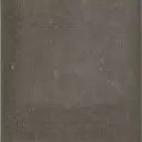 Excluton Tegel 15x30x4,5 cm grijs met pallet (plat) Excluton Tegel 15x30x4,5 cm grijs met pallet (plat)