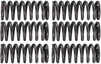 TRW koppelingsveren set clutch spring kit mef162-6