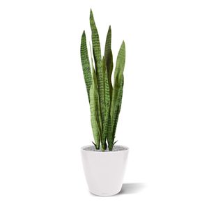 Sanseveria kunstplant 110cm -groen