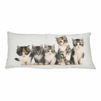 Canvas Kussen 5 Kittens XXL (90 x 40 cm)