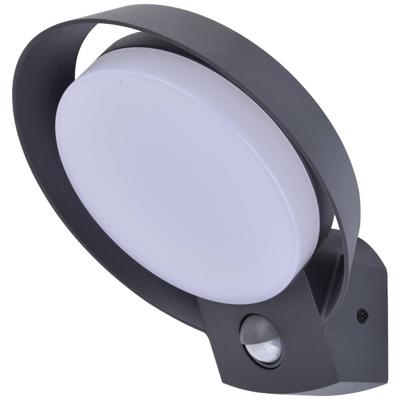 Lutec POLO 5205702118 LED-buitenlamp met bewegingsmelder (wand) LED LED 15 W Antraciet
